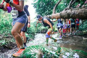 BIB: 
                            <button type="button" onclick="openModal(25449911)" class="btn btn-primary btn-sm float-right btn-popup" data-toggle="modal" data-target=".modal-high-quality">
                        <i class="fas fa-shopping-cart"></i> Add to Cart
                    </button>
                                            <button type="button" onclick="isThisMe(25449911, true)" class="btn btn-success btn-sm float-right btn-popup btn-isme hidden" data-toggle="tooltip" data-placement="bottom" title="นี่คือรูปของคุณใช่ไหม คลิกที่นี่เพื่อเอาเข้าอัลบั้ม">
                        <i class="fas fa-plus"></i> Add to album
                    </button>
                    <button type="button" onclick="isThisMe(25449911, false)" class="btn btn-warning btn-sm float-right btn-popup btn-isnotme hidden">
                        <i class="fas fa-ban"></i> Remove from album
                    </button>